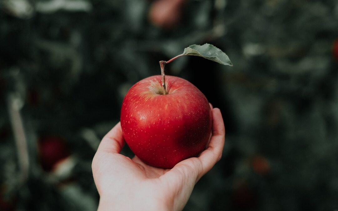 An Apple a Day Keeps the Doctor Away