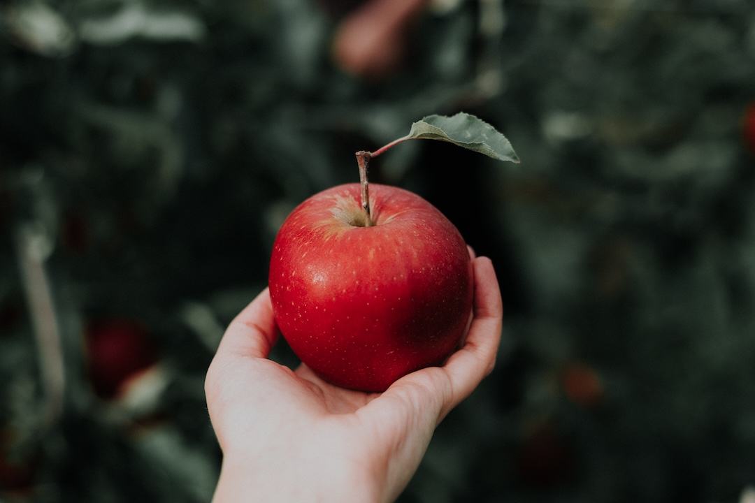 An Apple a Day Keeps the Doctor Away